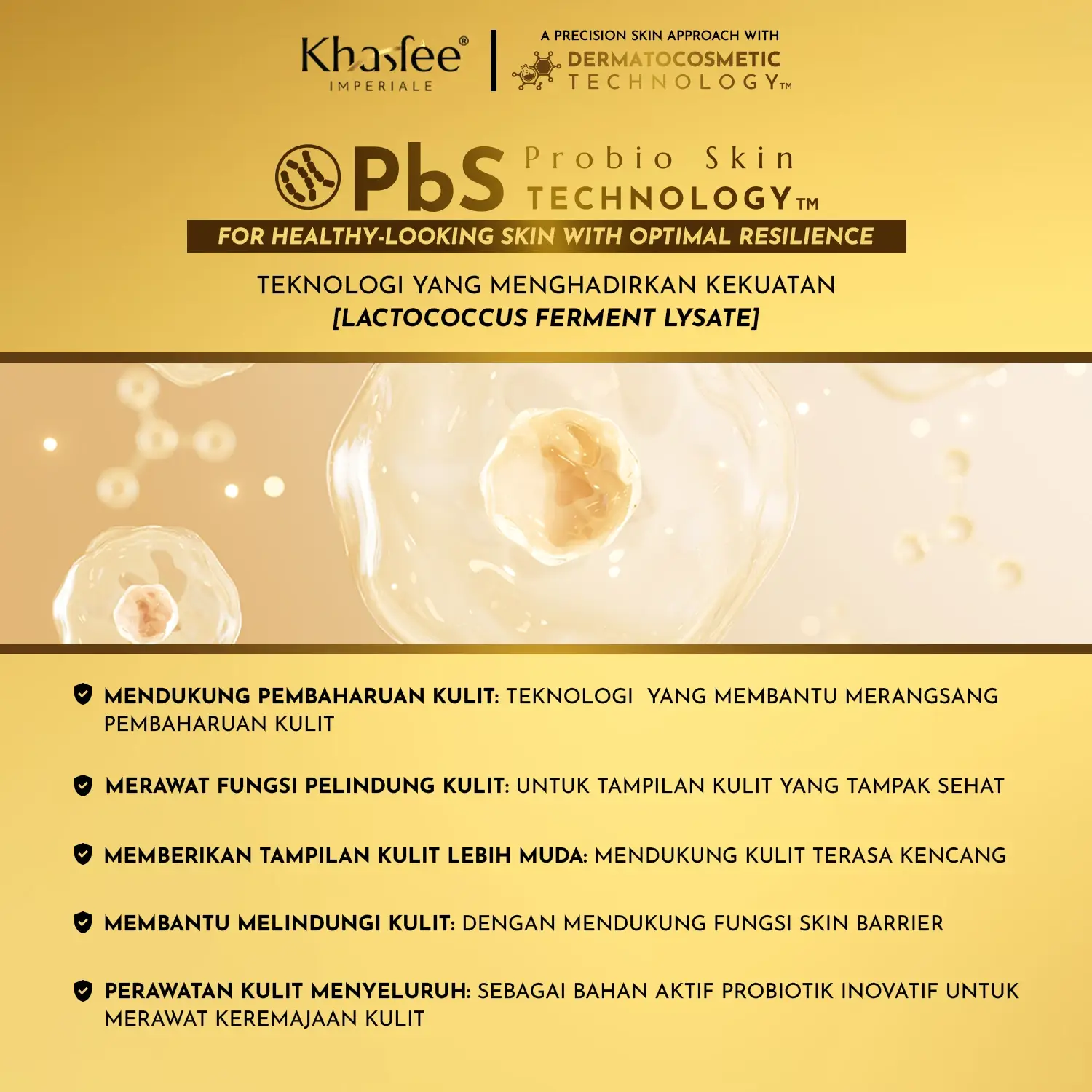product-image-6